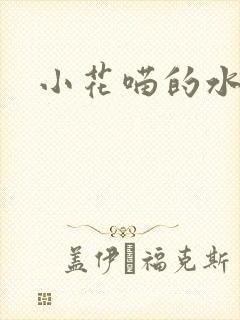 小花喵的水蜜桃封面