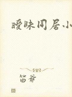 暧昧同居小说封面