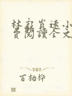 林毅肖远小说免费阅读全文最新章节封面