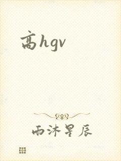 高hgv