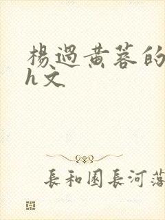 杨过黄蓉的沦陷h文