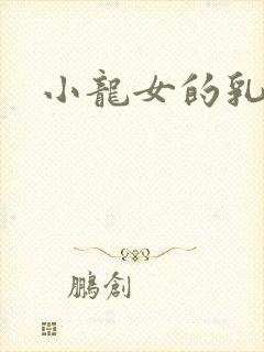 小龙女的乳头封面