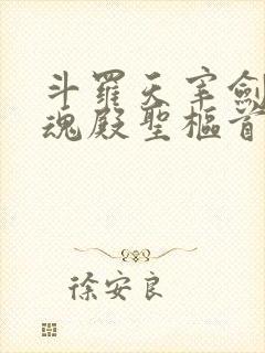 斗罗天宰剑仙武魂殿圣枢首席