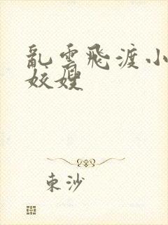 乱云飞渡小说之姣嫂