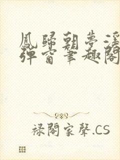 凤归朝梦溪石无弹窗笔趣阁