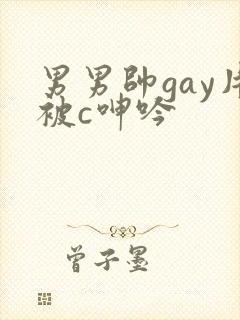 男男帅gay片被c呻吟