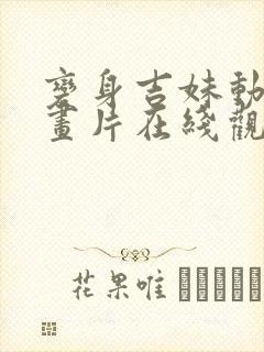 变身吉妹动漫动画片在线观看