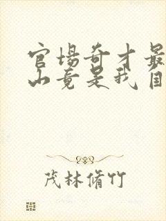 官场奇才最强靠山竟是我自己李澜小说封面