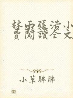 林雨张浩小说免费阅读全文最新章节封面