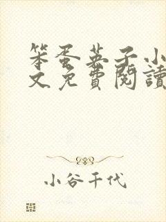 笨蛋英子小说全文免费阅读最新章节封面