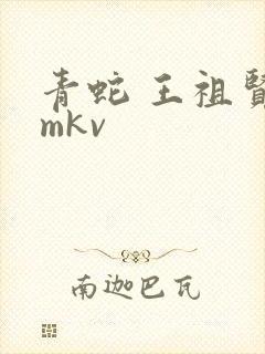 青蛇 王祖贤 mkv