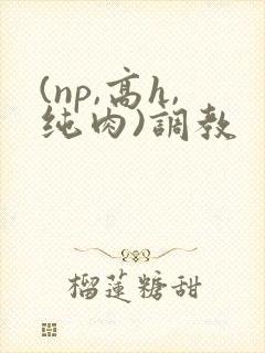 (np,高h,纯肉)调教