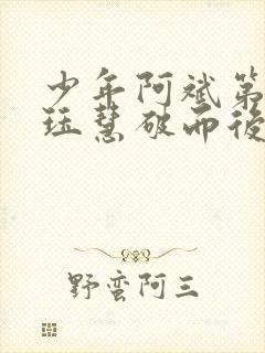 少年阿斌第二部珏慧破而后立封面