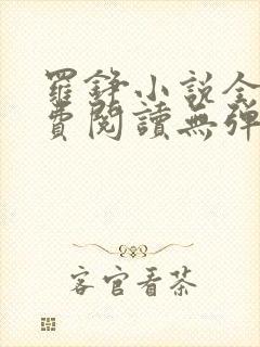 罗铮小说全文免费阅读无弹窗