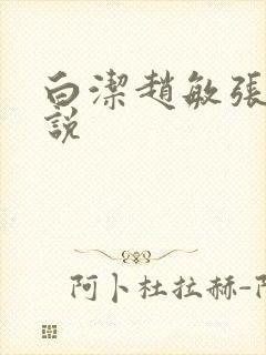 白洁赵敏张倩小说封面