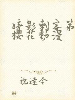 暗影刺客第四季樱花动漫