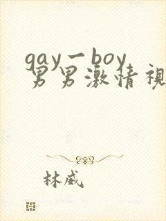 gay一boy男男激情视频