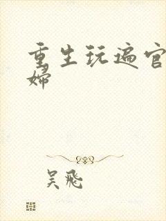 重生玩遍官场贵妇