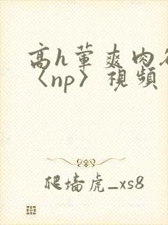 高h荤爽肉欲文〈np〉视频封面