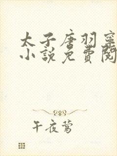 太子唐羽宁婉的小说免费阅读全文