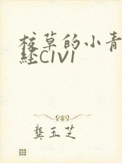 校草的小青梅不经C1V1