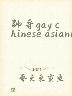 帅哥gay chinese asian1069封面