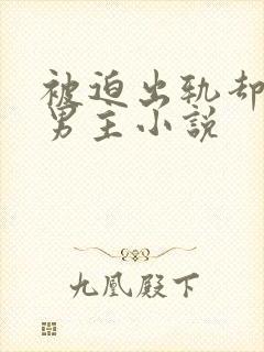 被迫出轨却上瘾男主小说