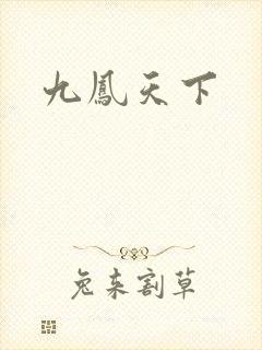 九凤天下