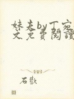 妹夫by丁宛全文免费阅读笔趣阁封面