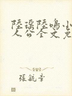 陆瑶陆鸣小说主人公全文免费阅读笔趣阁