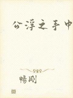 公浮之手中字5