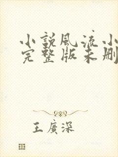 小说风流小傻医完整版未删减小说