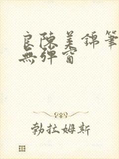 良陈美锦笔趣阁无弹窗