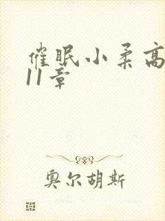 催眠小柔高达第11章封面