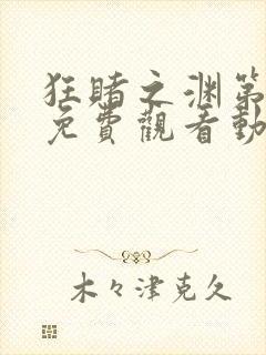 狂赌之渊第二季免费观看动漫