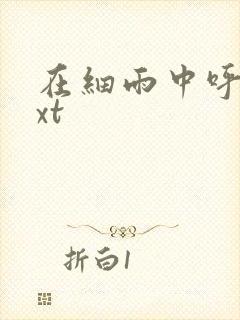 在细雨中呼喊txt封面