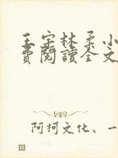 王宇林柔小说免费阅读全文最新章节