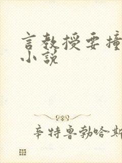 言教授要撞坏了小说封面