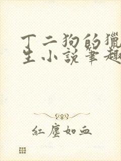 丁二狗的猎艳人生小说笔趣阁