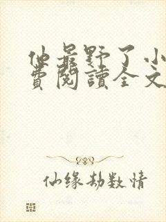 他最野了小说免费阅读全文