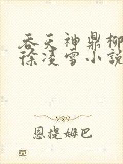 吞天神鼎柳无邪徐凌雪小说封面
