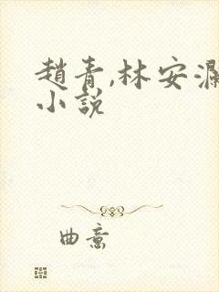 赵青,林安澜的小说