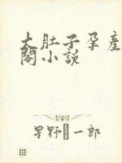 大肚子孕产笔趣阁小说