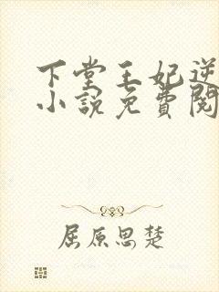 下堂王妃逆袭记小说免费阅读封面