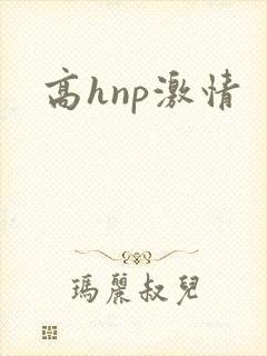 高hnp激情