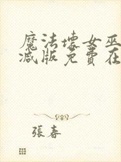 魔法坏女巫未删减版免费在线看封面