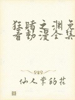 狂赌之渊免费观看动漫全集高清