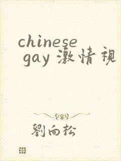 chinese gay 激情视频
