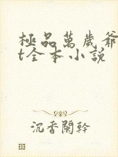 极品万岁爷txt全本小说