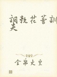 调教花蒂训诫从夫